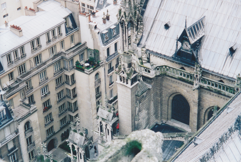 Illustration for article titled Notre Dame de Paris, 2000